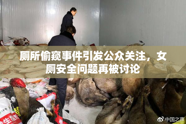 厕所偷窥事件引发公众关注，女厕安全问题再被讨论