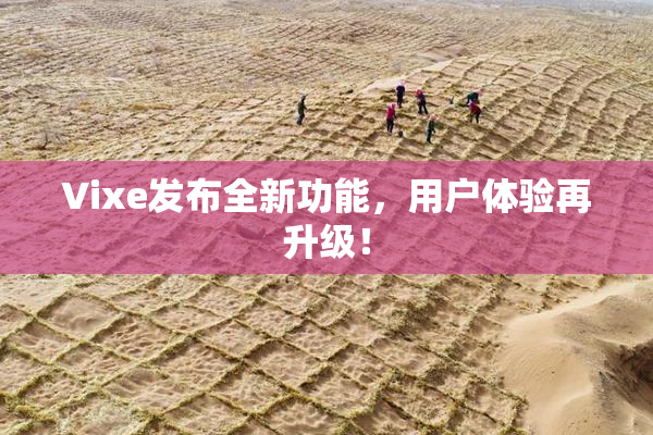 Vixe发布全新功能，用户体验再升级！