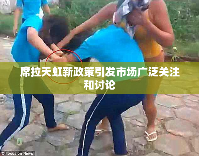 席拉天虹新政策引发市场广泛关注和讨论