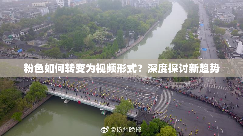 粉色如何转变为视频形式？深度探讨新趋势