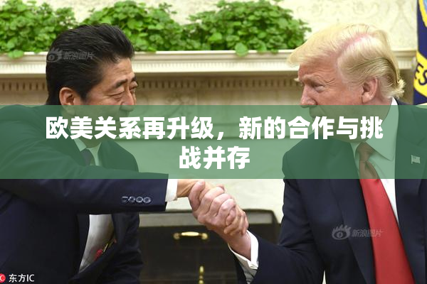 欧美关系再升级，新的合作与挑战并存