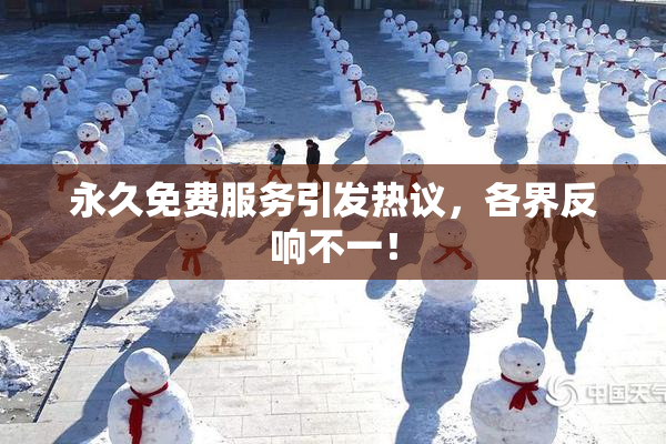 永久免费服务引发热议，各界反响不一！