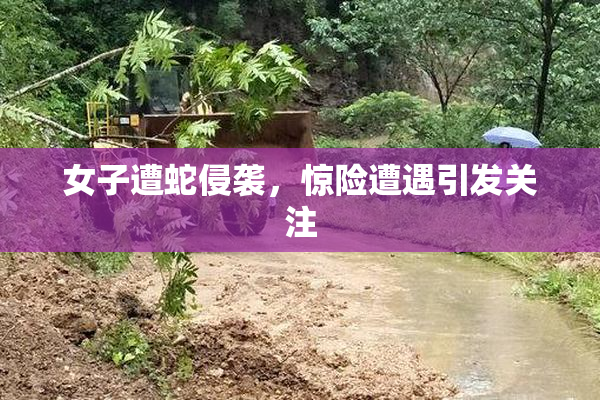 女子遭蛇侵袭，惊险遭遇引发关注