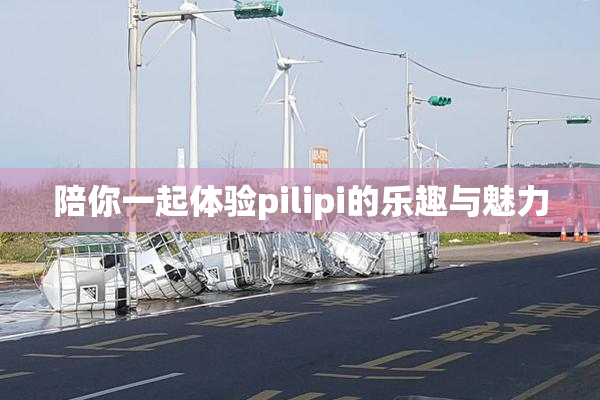 陪你一起体验pilipi的乐趣与魅力