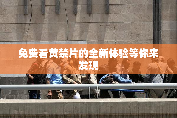 免费看黄禁片的全新体验等你来发现
