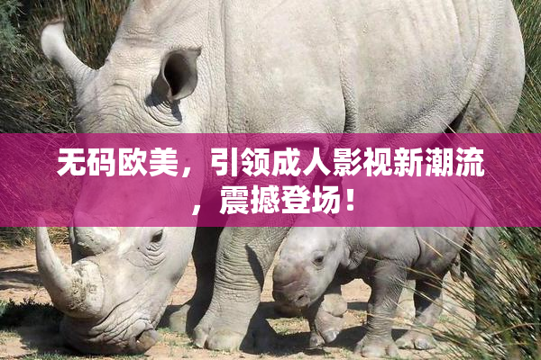 无码欧美，引领成人影视新潮流，震撼登场！