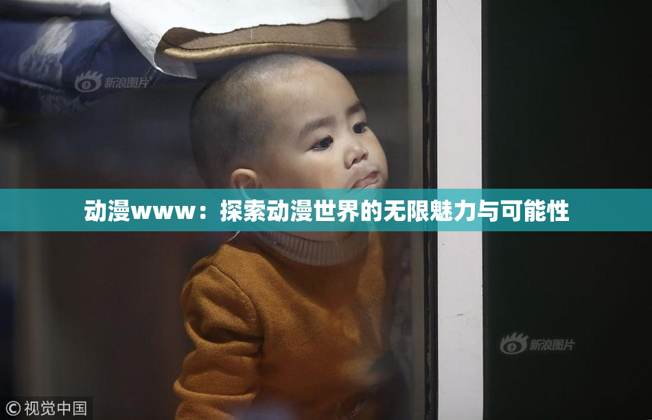动漫www：探索动漫世界的无限魅力与可能性