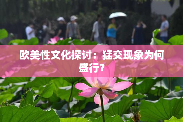 欧美性文化探讨：猛交现象为何盛行？