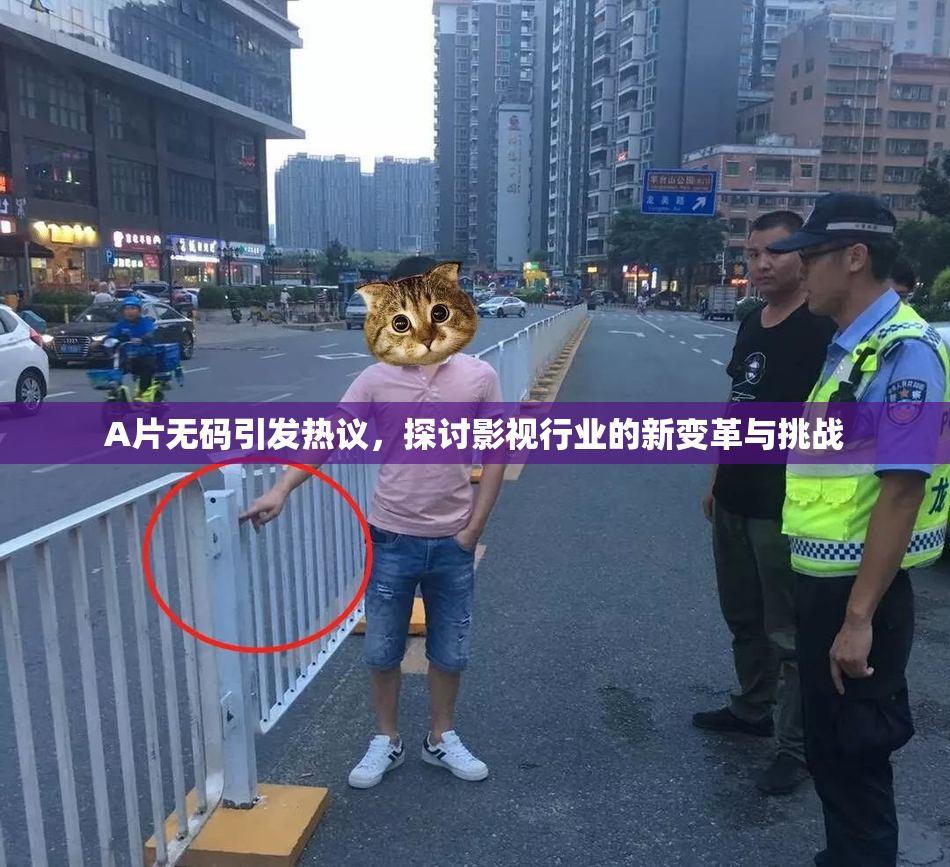 A片无码引发热议，探讨影视行业的新变革与挑战