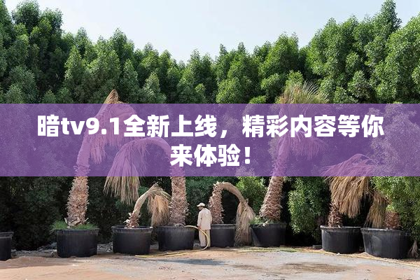 暗tv9.1全新上线，精彩内容等你来体验！