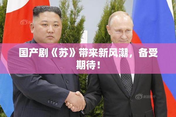国产剧《苏》带来新风潮，备受期待！