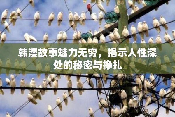 韩漫故事魅力无穷，揭示人性深处的秘密与挣扎