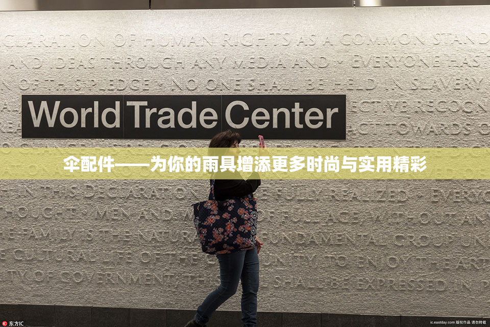 伞配件——为你的雨具增添更多时尚与实用精彩