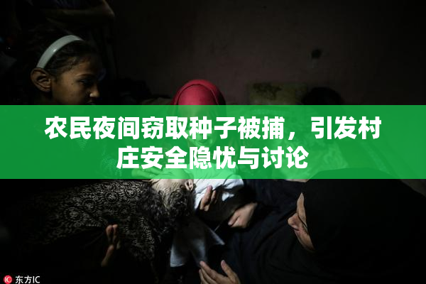 农民夜间窃取种子被捕，引发村庄安全隐忧与讨论