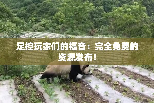 足控玩家们的福音：完全免费的资源发布！