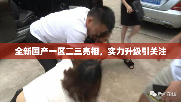 全新国产一区二三亮相，实力升级引关注