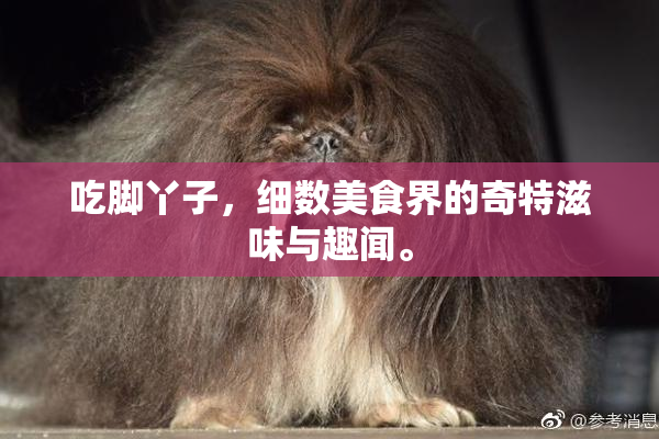 吃脚丫子，细数美食界的奇特滋味与趣闻。