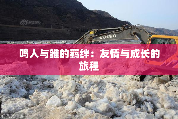 鸣人与雏的羁绊：友情与成长的旅程