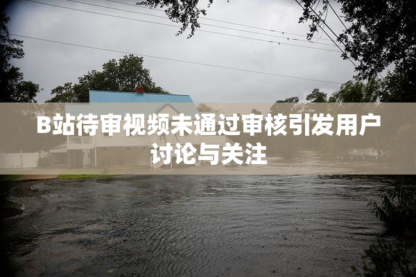 B站待审视频未通过审核引发用户讨论与关注