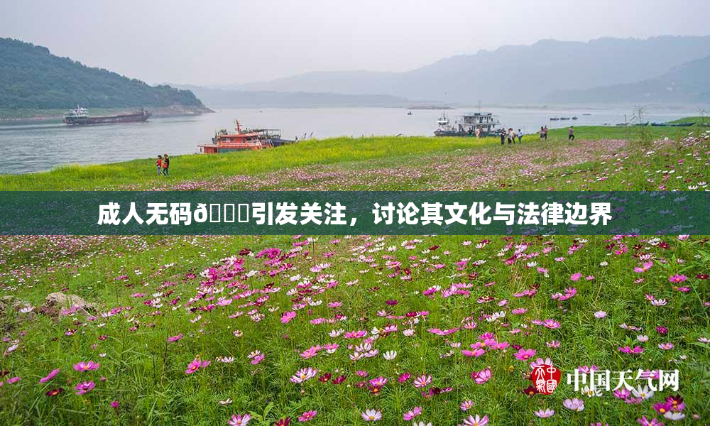 成人无码🔞引发关注，讨论其文化与法律边界