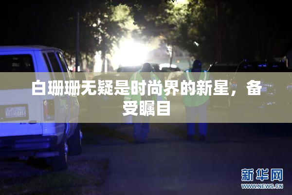 白珊珊无疑是时尚界的新星，备受瞩目