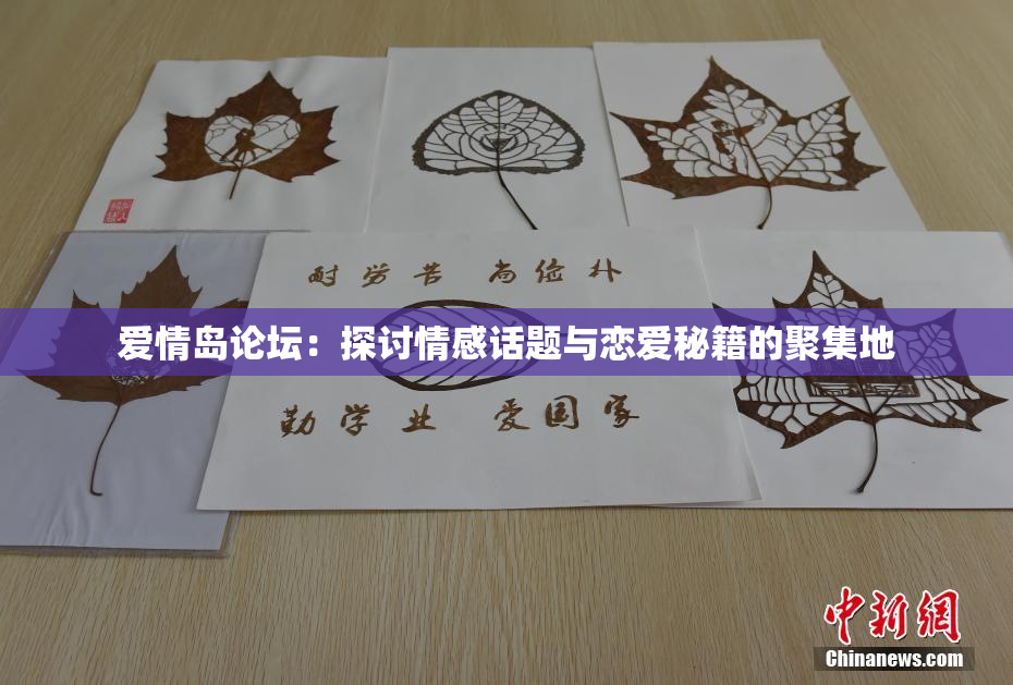 爱情岛论坛：探讨情感话题与恋爱秘籍的聚集地