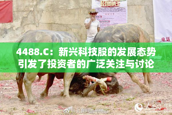 4488.C：新兴科技股的发展态势引发了投资者的广泛关注与讨论。