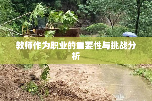 教师作为职业的重要性与挑战分析