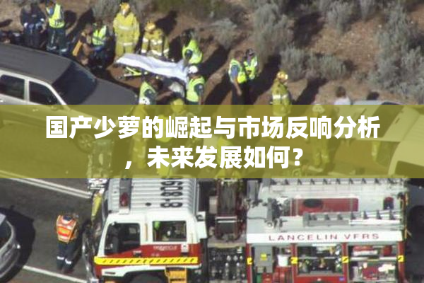 国产少萝的崛起与市场反响分析，未来发展如何？