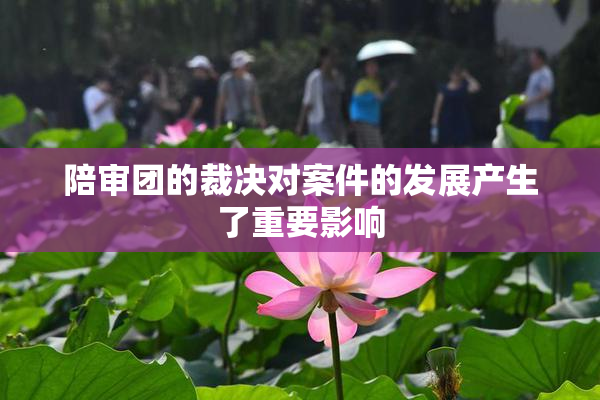 陪审团的裁决对案件的发展产生了重要影响