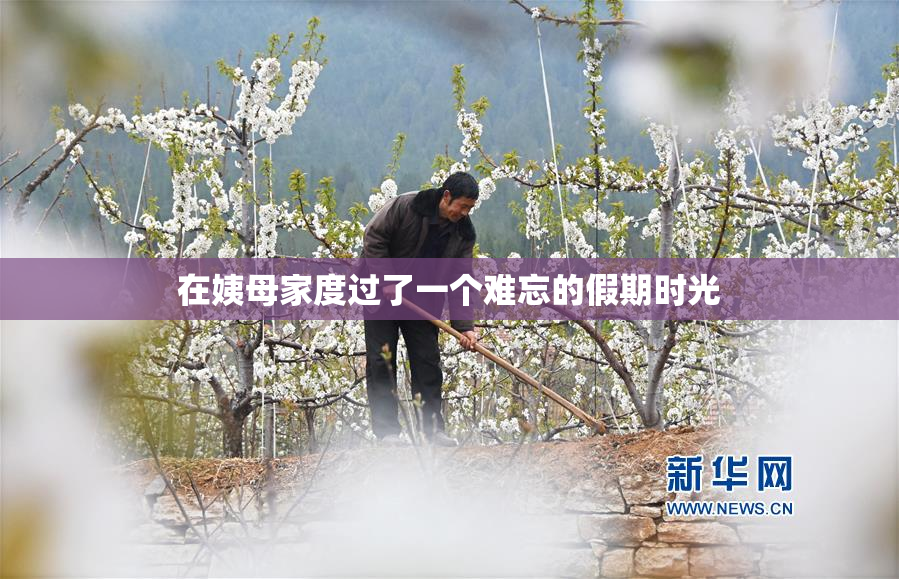 在姨母家度过了一个难忘的假期时光