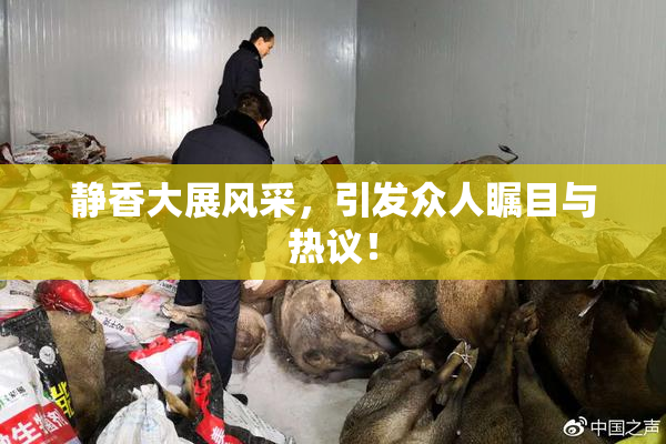 静香大展风采，引发众人瞩目与热议！