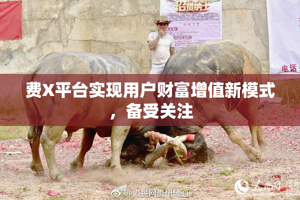 费X平台实现用户财富增值新模式，备受关注