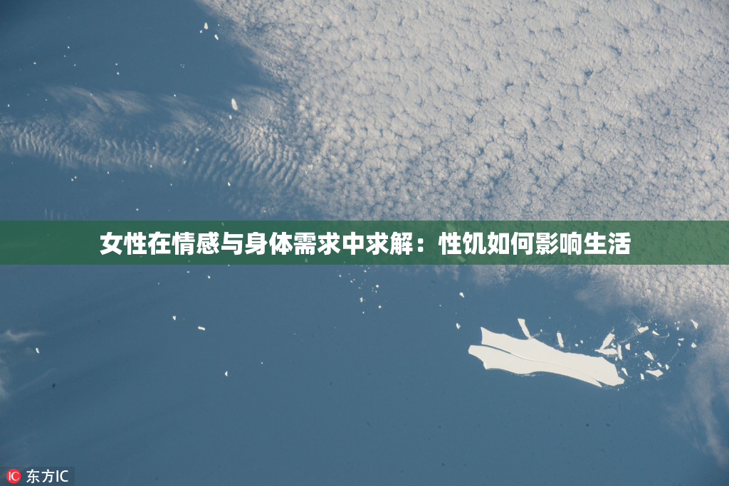 女性在情感与身体需求中求解：性饥如何影响生活