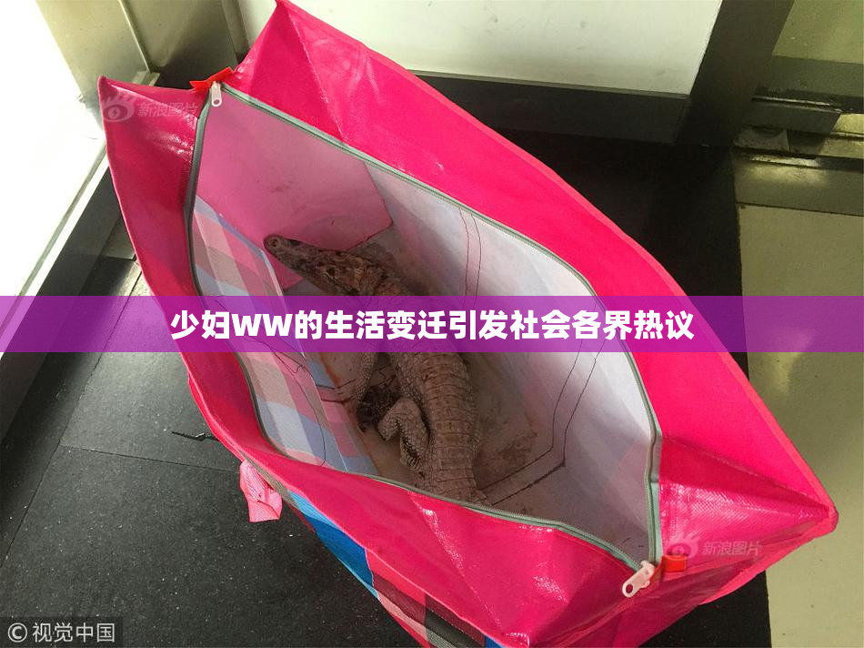 少妇WW的生活变迁引发社会各界热议