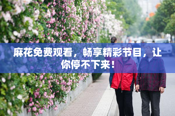 麻花免费观看，畅享精彩节目，让你停不下来！