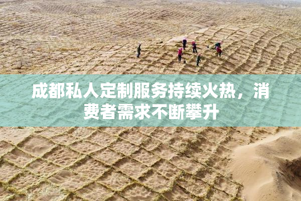 成都私人定制服务持续火热，消费者需求不断攀升