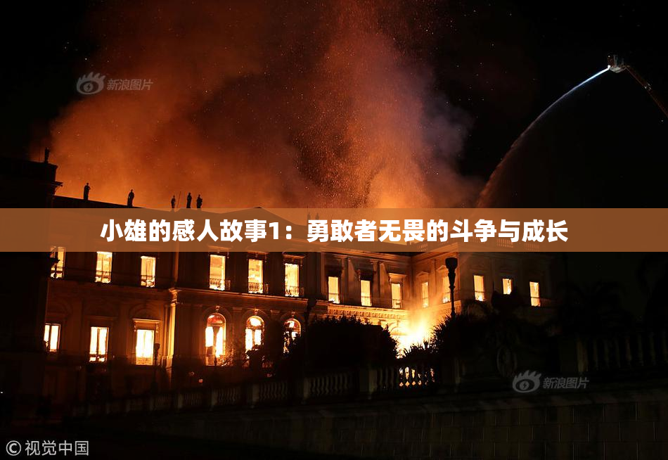 小雄的感人故事1：勇敢者无畏的斗争与成长
