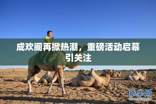 成欢阁再掀热潮，重磅活动启幕引关注