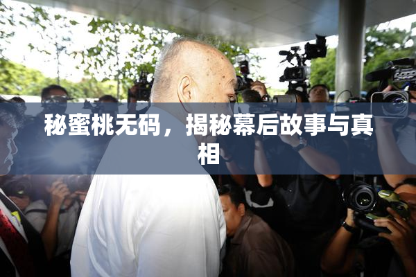 秘蜜桃无码，揭秘幕后故事与真相