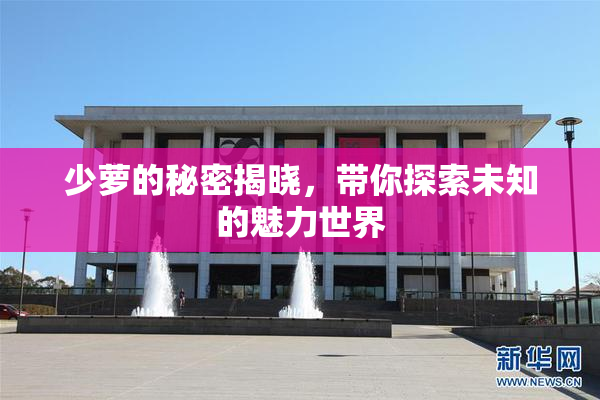 少萝的秘密揭晓，带你探索未知的魅力世界