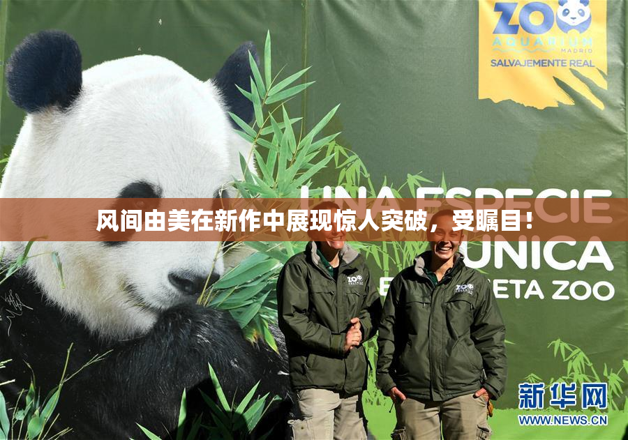 风间由美在新作中展现惊人突破，受瞩目！