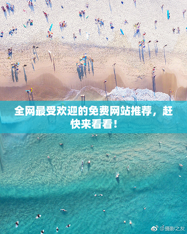 全网最受欢迎的免费网站推荐，赶快来看看！