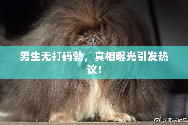 男生无打码勃，真相曝光引发热议！