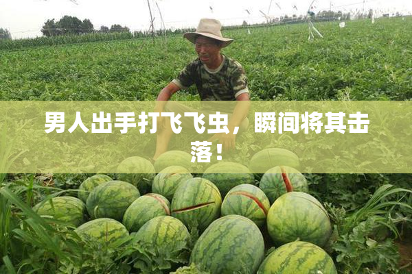 男人出手打飞飞虫，瞬间将其击落！