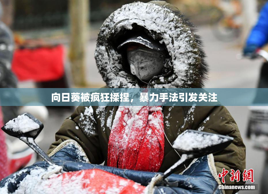 向日葵被疯狂揉捏，暴力手法引发关注
