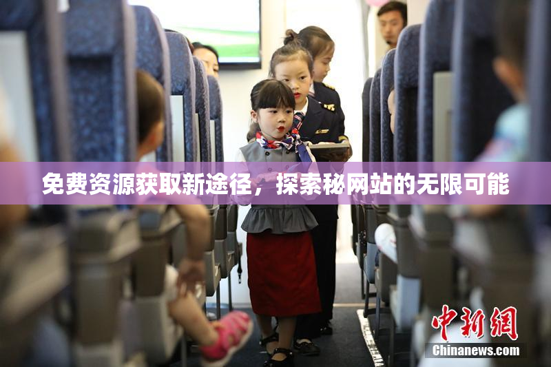 免费资源获取新途径，探索秘网站的无限可能
