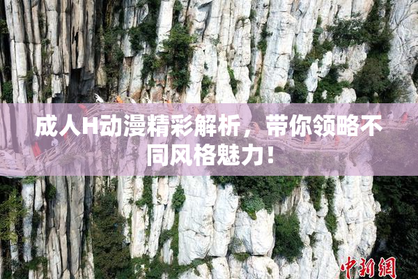 成人H动漫精彩解析，带你领略不同风格魅力！