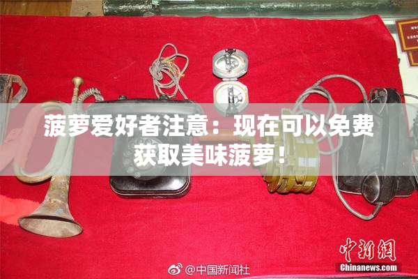 菠萝爱好者注意：现在可以免费获取美味菠萝！