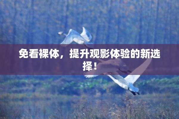 免看裸体，提升观影体验的新选择！